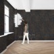 Ventrawall - Siyah Duvar Boyası ve Duvar Kağıdı - BL06 - 5 KG